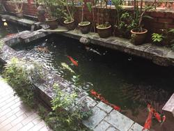 People's Garden (D19), Terrace #140810592